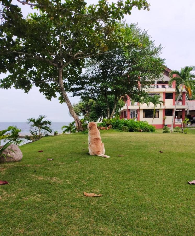 Wuthering Heights Bed & Breakfast By The Sea Dumaguete City Extérieur photo