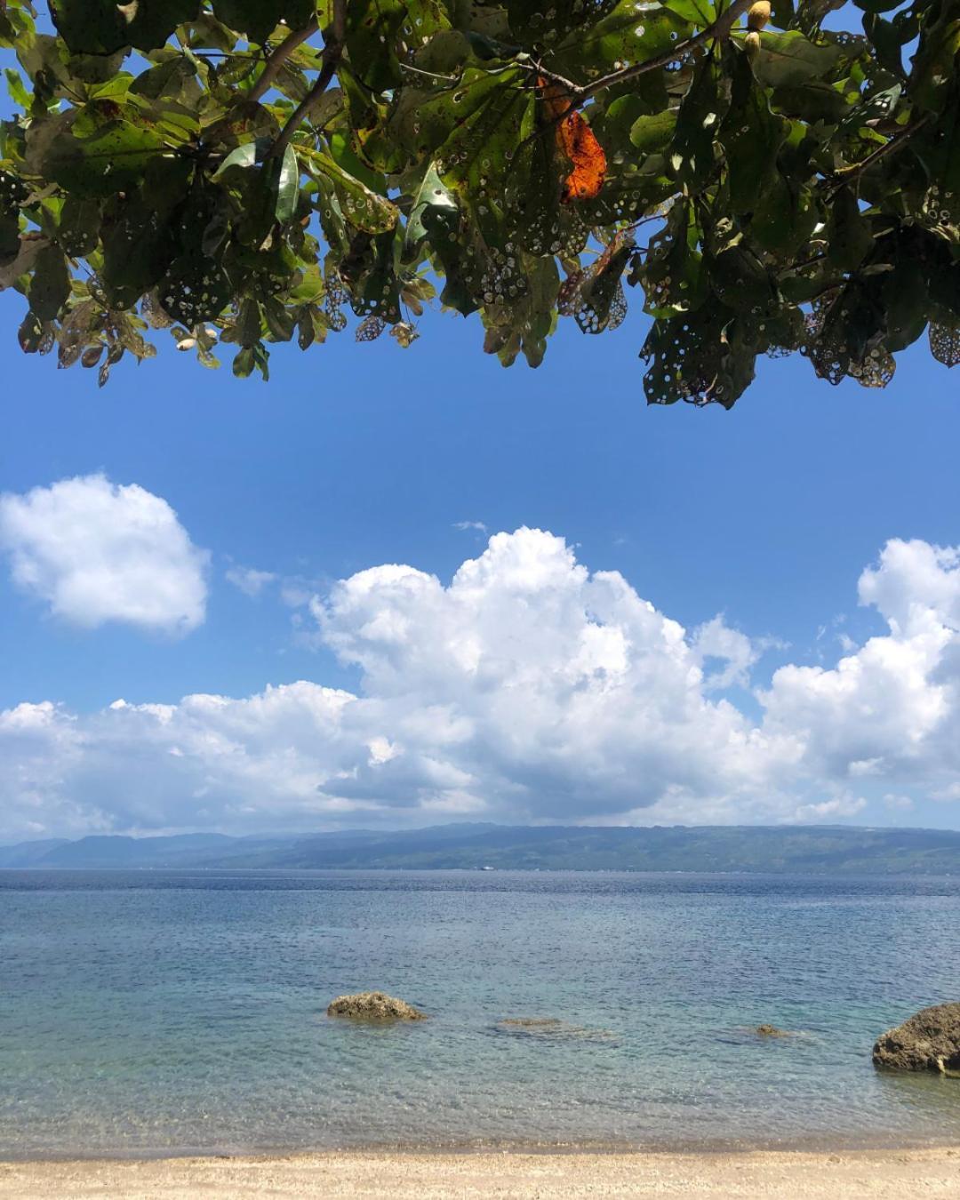 Wuthering Heights Bed & Breakfast By The Sea Dumaguete City Extérieur photo